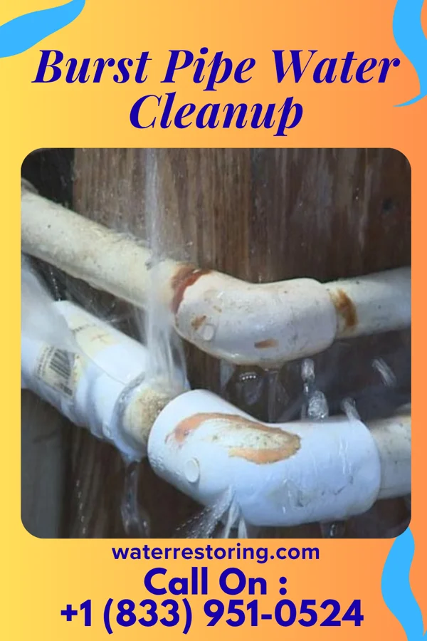 Burst Pipe Water Cleanup in Sharpsburg, GA